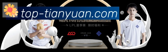 天元棋牌平台生态图